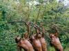 Самые необычные ритуалы и обычаи народов мира (11 фото) Самые необычные племена на земле