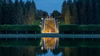 Photo of — Парк «Золотая гора»