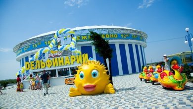 Photo of — Дельфинарий «Немо»