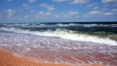 Photo of Пляжный отдых с пользой для здоровья