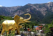 Photo of Посещение зоопарка «Сказка»