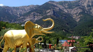 Photo of Посещение зоопарка «Сказка»